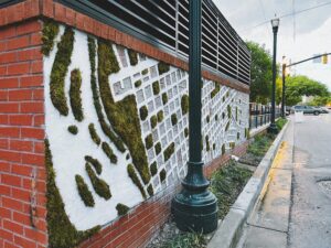 Processed with VSCO with a8pro preset