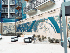 Processed with VSCO with n1 preset