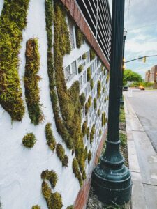 Processed with VSCO with a8pro preset